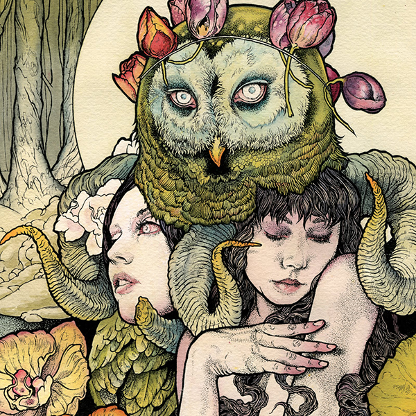 owl and girls